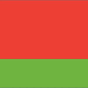 Belarus Nylon Flag