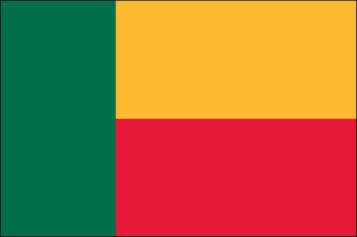 Benin Nylon Flag