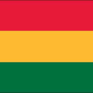 Bolivia Nylon Flag
