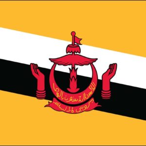 Brunei Nylon Flag