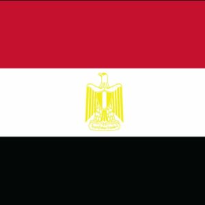 Egypt Nylon Flag