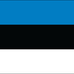 Estonia Nylon Flag