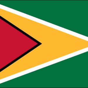 Guyana Nylon Flag