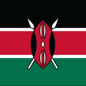 Kenya Nylon Flag