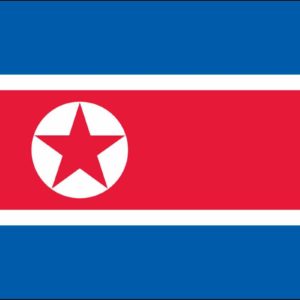 North Korea Nylon Flag