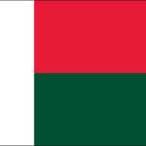 Madagascar Nylon Flag