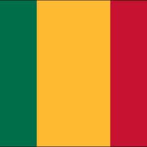 Mali Nylon Flag