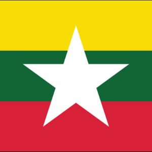 Myanmar Nylon Flag