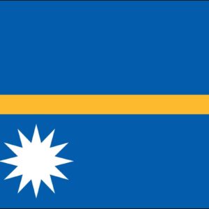 Nauru Nylon Flag