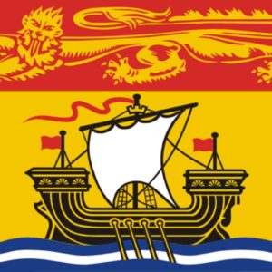 New Brunswick Province 3x5 Nylon Flag