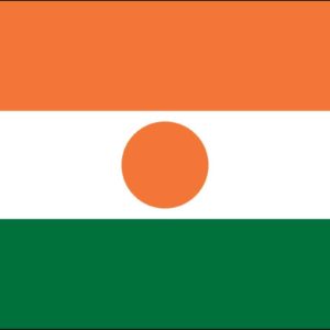 Niger Nylon Flag