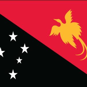Papau New Guinea Nylon Flag