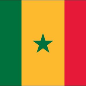 Senegal Nylon Flag
