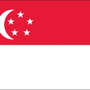Singapore Nylon Flag