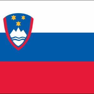 Slovenia Nylon Flag