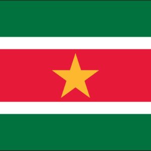Suriname Nylon Flag