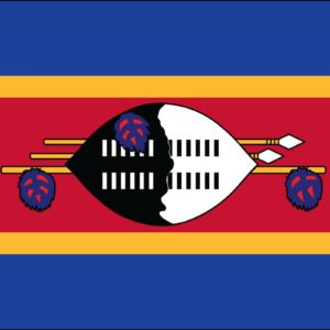 Swaziland Nylon Flag