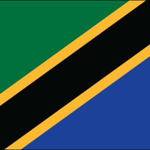 Tanzania Nylon Flag