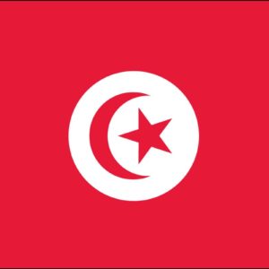 Tunisia Nylon Flag