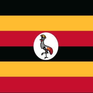 Uganda Nylon Flag
