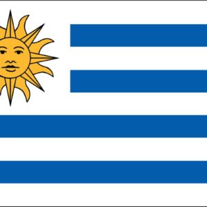 Uruguay Nylon Flag