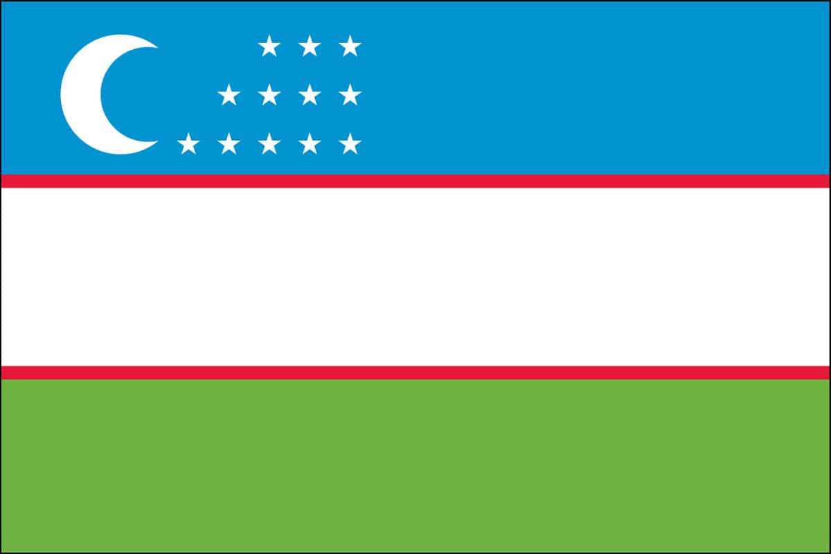 Uzbekistan Nylon Flag